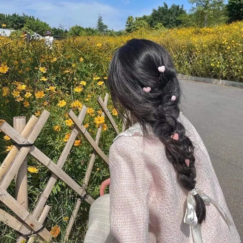 挎斗摩托车里的狗